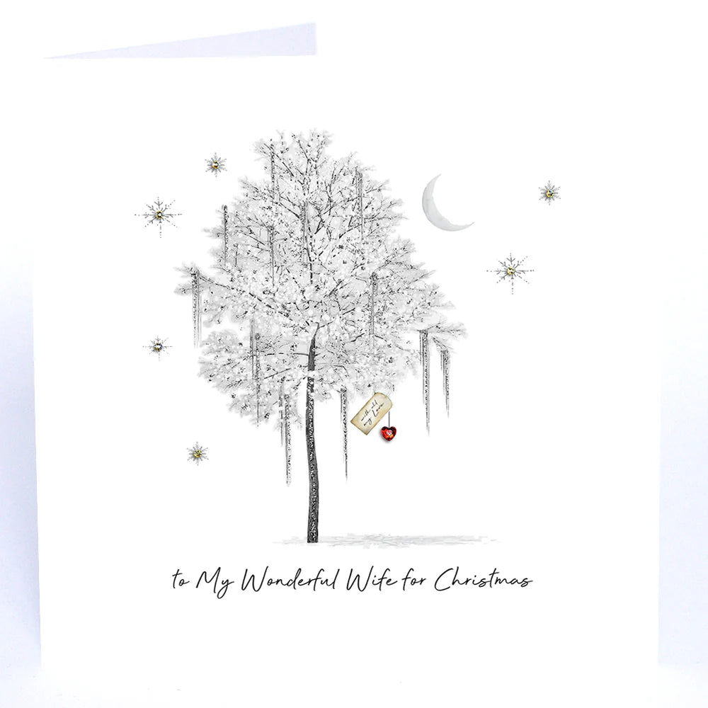 Card - To My Wonderful Wife For Christmas