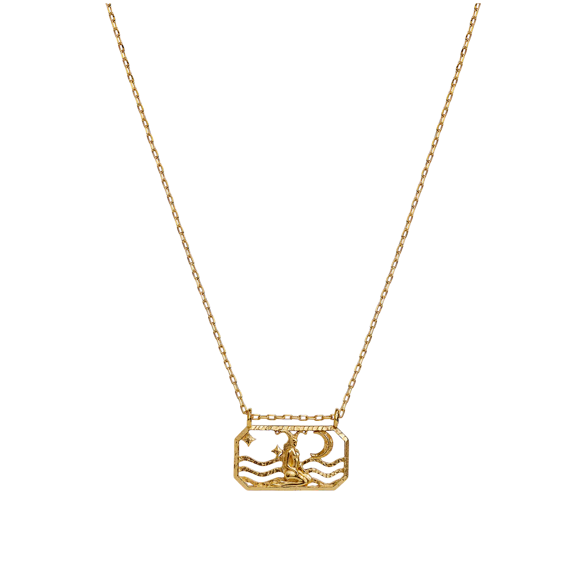 Zodiac Signs - Capricorn Necklace-18ct Gold Plated