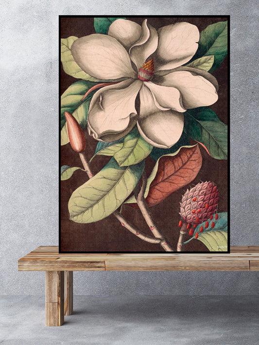 White Magnolia Poster 50x50cm