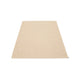 Plain Design Mat/Rug - Metallic Beige