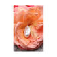 Desiree - Single Stud Earring